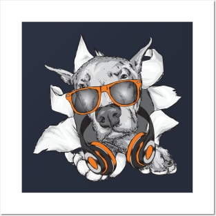 dog with headphone puppy Posters and Art